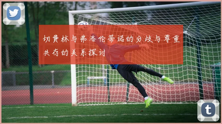 切费林与弗洛伦蒂诺的分歧与尊重共存的关系探讨